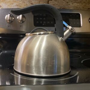 Stainless Steel Tea Kettle with Black Handle